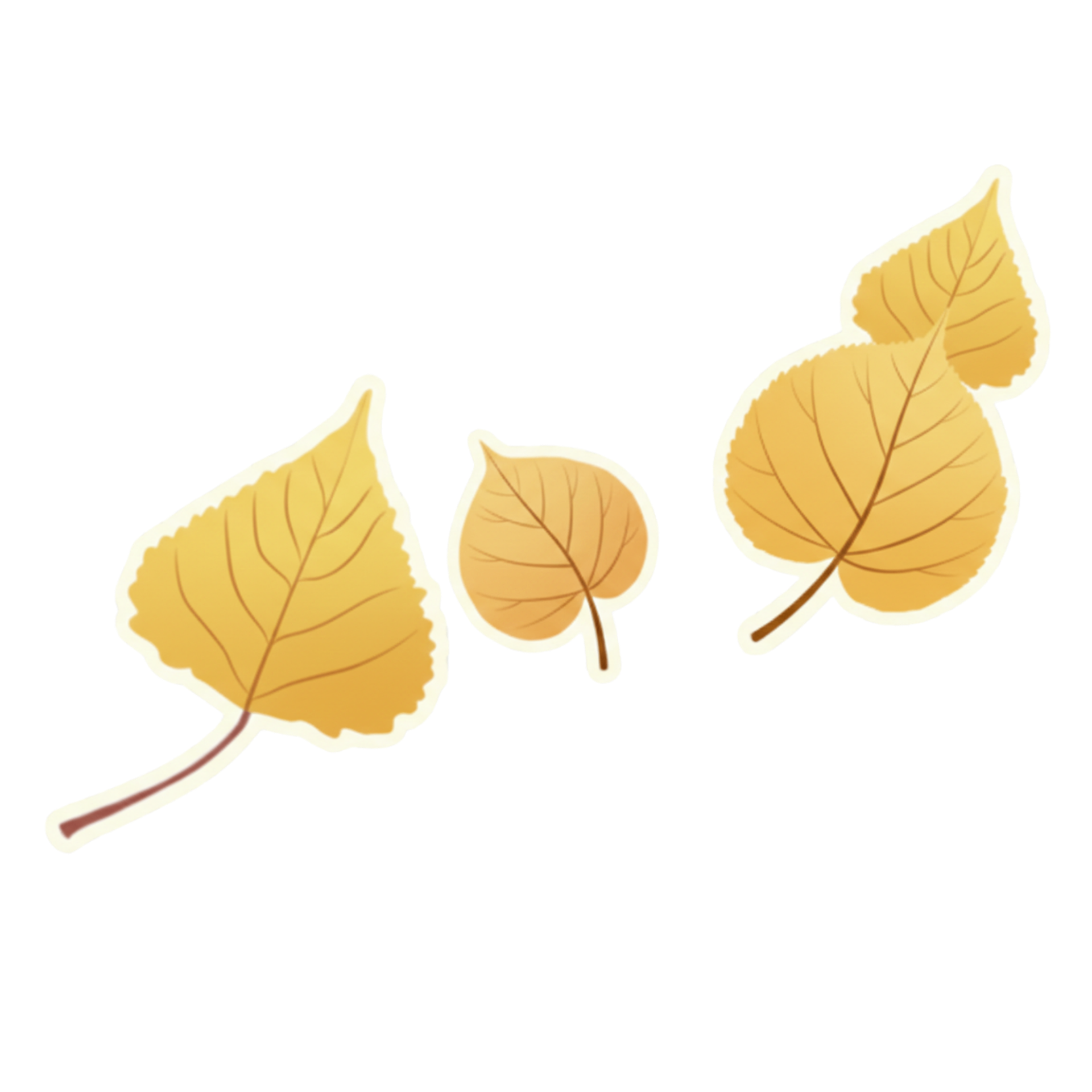 Leaves