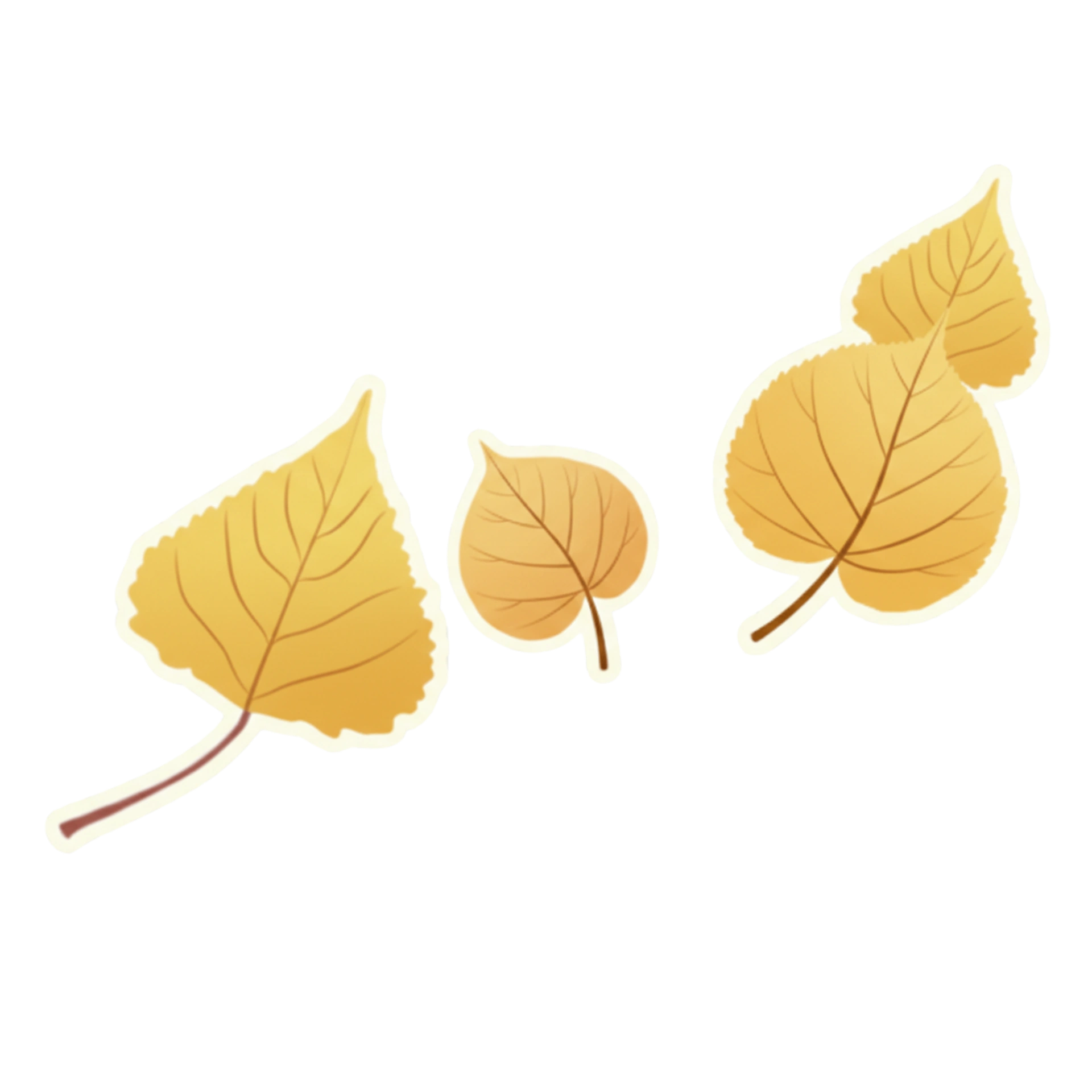 Leaves